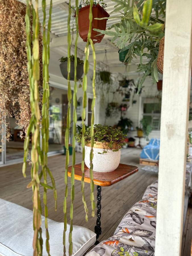 Вилла Lucky House Окленд Экстерьер фото